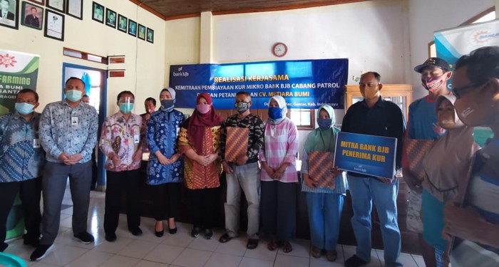 Penetrasi PEN, bank bjb Salurkan KUR kepada Petani di Indramayu