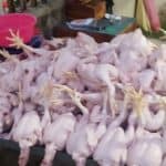 Rekomendasi Daging Ayam Berkualitas Buat Bobotoh, Fajar Broiler Terapkan Konsep Jemput Bola