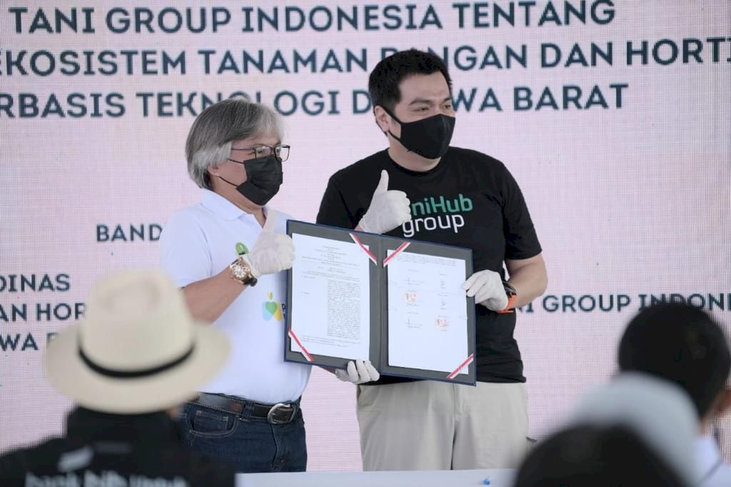 Sebanyak 428 Petani Milenial Garap Komoditas Tanaman Hias dan Ubi Jalar