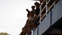 Antusiasme Warga Tinggi, Ratusan Tiket Persib vs Tanjong Baru United Sudah Terjual