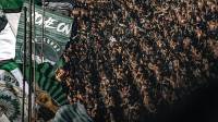 Suporter Persis Solo 'Dilarang' Hadir di Maguwoharjo, BCS dan Slemania Sepakat Kosongkan Stadion